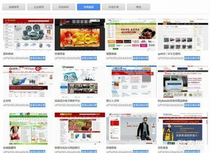 大泉州地區網站建設與網店開設 5000+成功案例，助力企業數字化升級